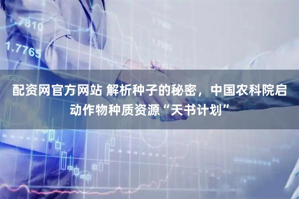配资网官方网站 解析种子的秘密，中国农科院启动作物种质资源“天书计划”